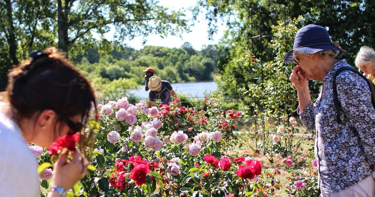 5 (bonnes) raisons d’aller humer les roses au parc floral de la Beaujoire