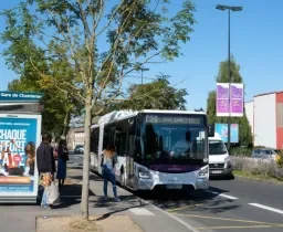 Le Chronobus C20 jusqu'à Gare maritime