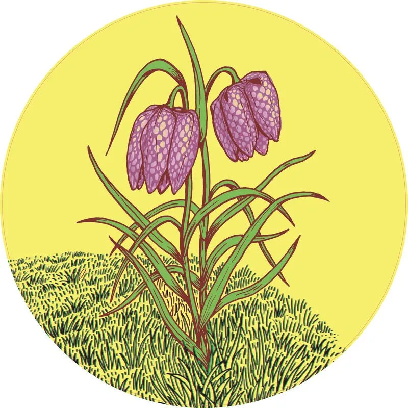 Biodivers’été : une saison d'animations autour de la terre, des plantes et des animaux