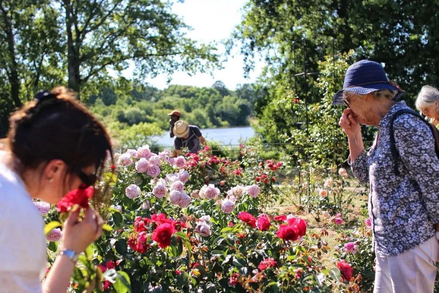 5 (bonnes) raisons d’aller humer les roses au parc floral de la Beaujoire