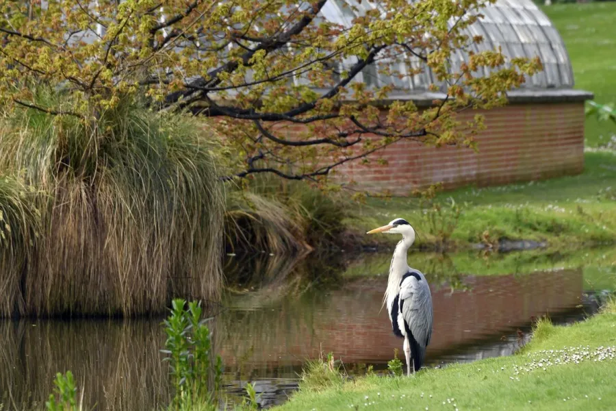Quand la biodiversité s’invite en ville