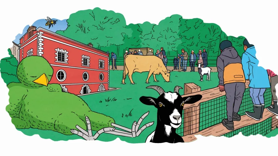 Itinéraire d'été : une journée avec les animaux