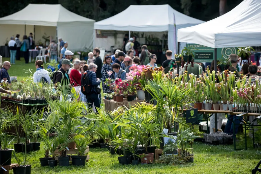 Que faire à Nantes si vous aimez... les plantes