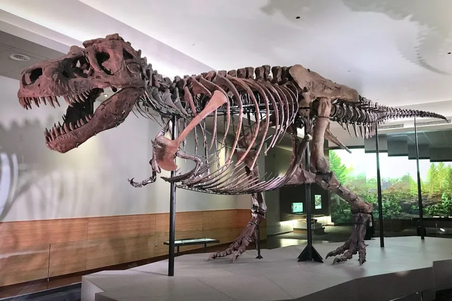 En 2027, une grande exposition sur les dinosaures à la Hab Galerie