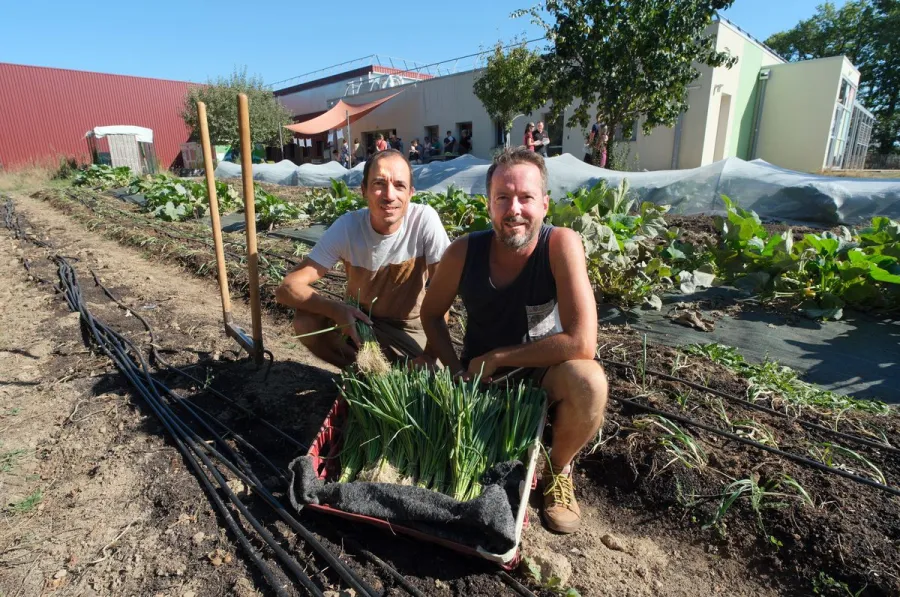 Entreprises nourricières : des légumes contre la précarité alimentaire