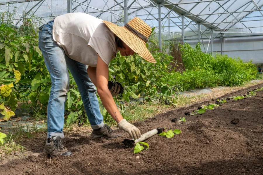 Agriculture : toujours plus de bio et de local dans la métropole nantaise