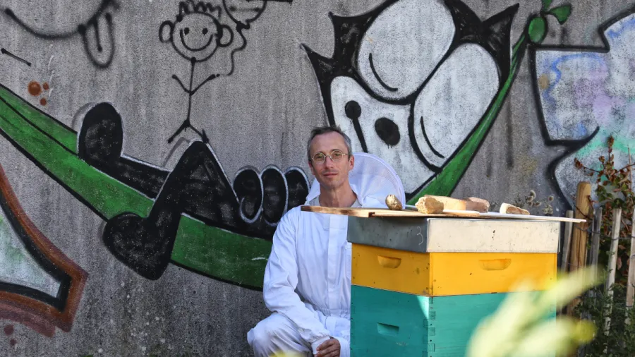 Mixt et Apimixt, culture et apiculture