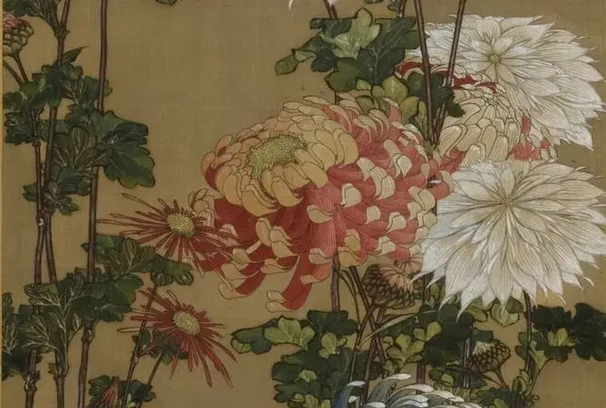 Des chrysanthèmes peintes sur papier de soie. 