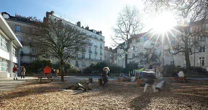 Des enfants jouent dans une cour d'école, le sol est tapissé de copeaux de bois. ON voit trois grands arbres, et un soleil éclatant.