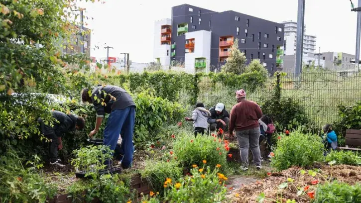 Le potager solidaire Amazonia Garden, dans le quartier Malakoff à Nantes