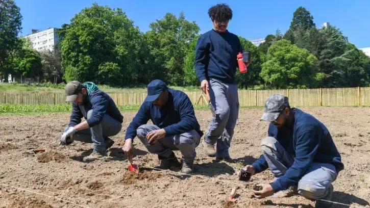 Les premiers plans de légumes sont mis en terre à la ferme des Dervallières.