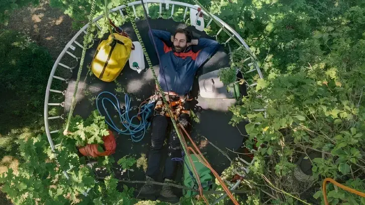 Un homme perché dans un arbre. 