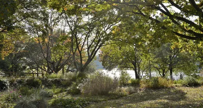 Parc Floral La Roseraie Beaujoire