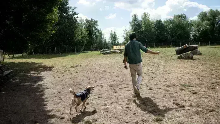Un chien et son maître dans les nouvel espace canin du parc naturel de Beaulieu.