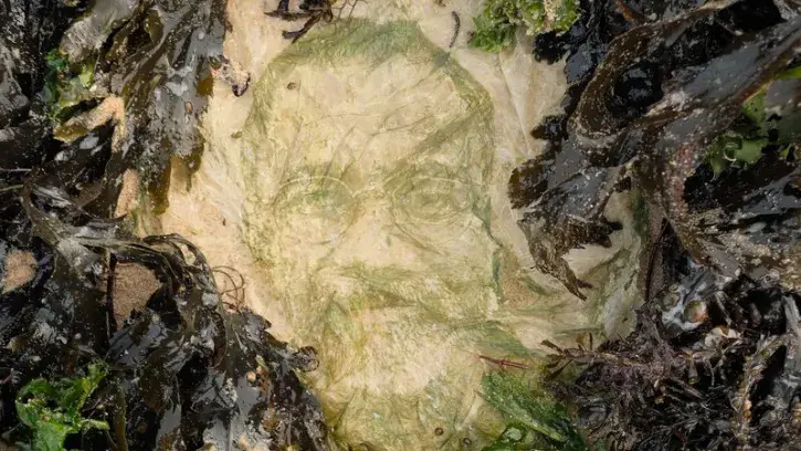 Le portrait d'une homme sur une plage, entouré d'algues.