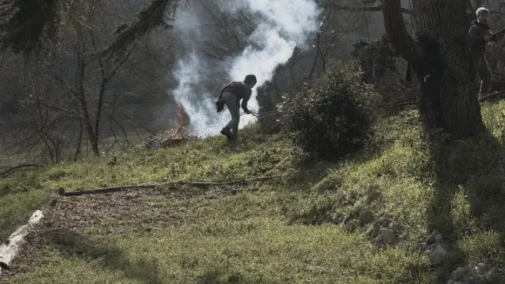 Des enfants dans une forêt. 