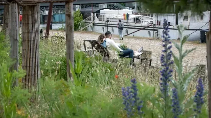 La végétation gagne du terrain sur les berges du canal Saint-Félix, à Nantes.