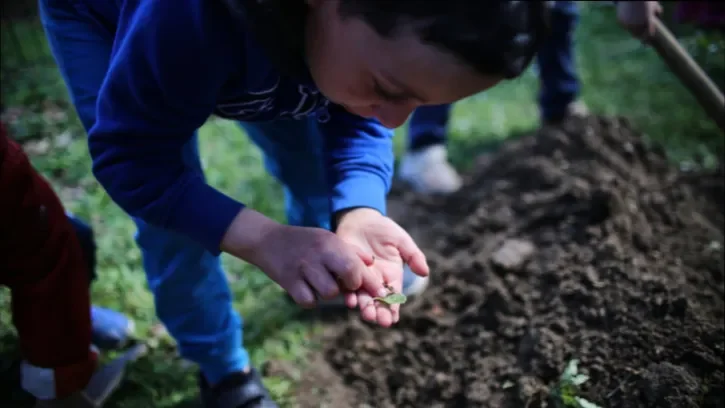 Un enfant les mains dans la terre.