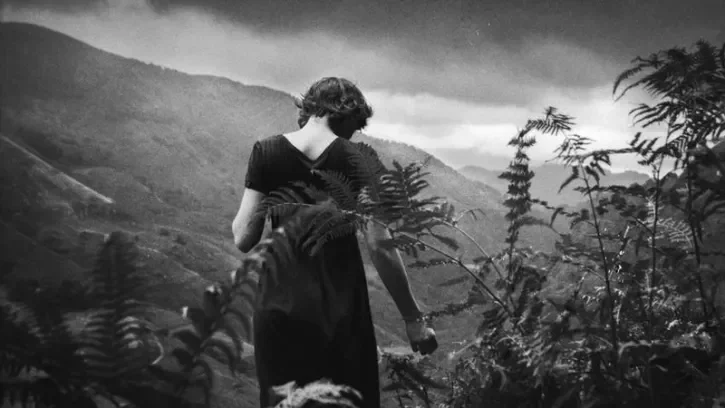 Une femme de dos dans une forêt. 