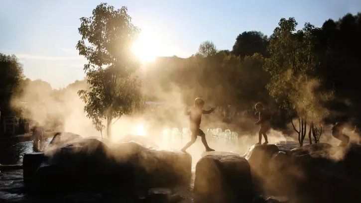 Le bassin du Jardin extraordinaire dans la brume.