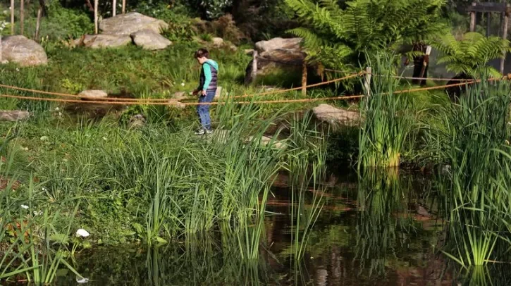 Un enfant au milieu du marais du Jardin exraordinaire, à Nantes.