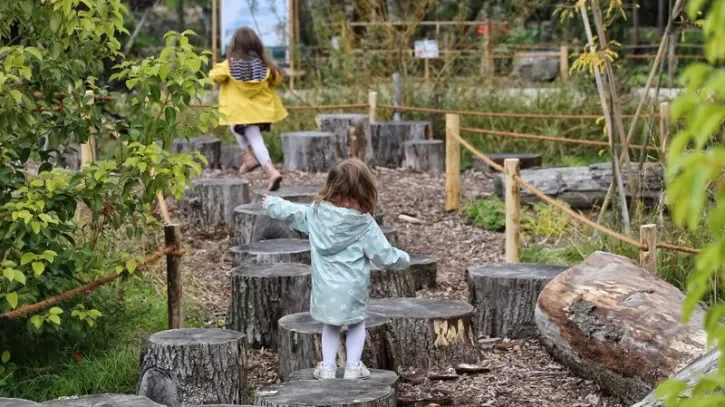 Des enfants jouent sur des troncs d'arbres.