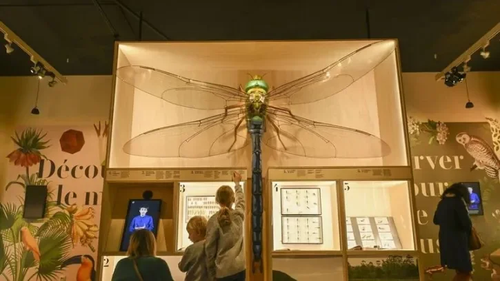 Une expositions sur les libellules.