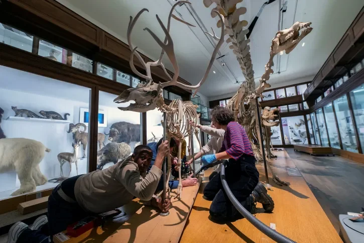 Un squelette est en train d'être aspiré.