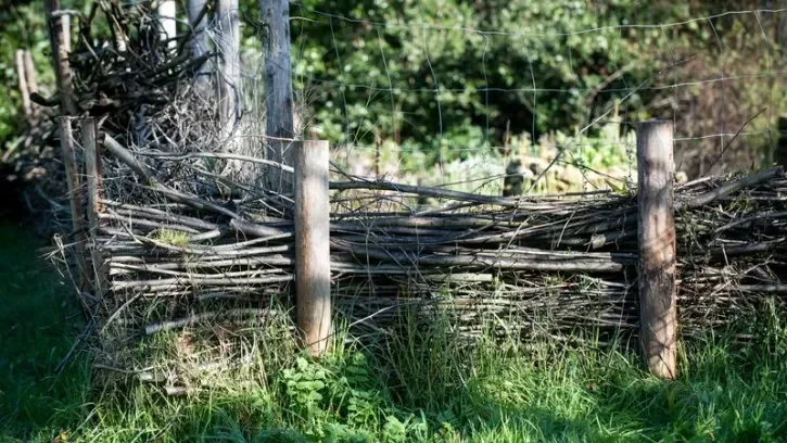 Une haie de branchages.