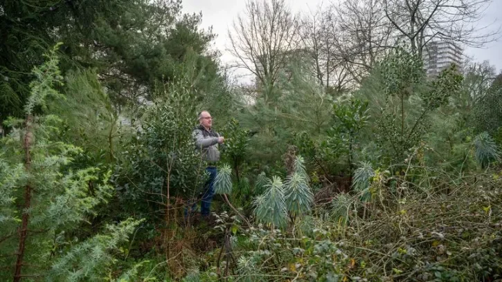 Un jardinier au milieu d'un boisement d'avenir sur l'île de Nantes.