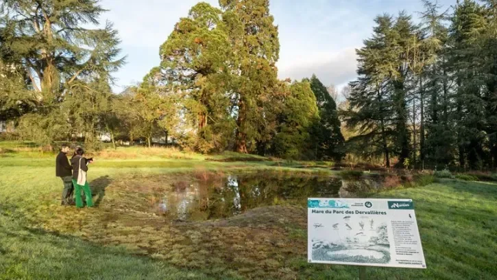 Des jardiniers devant une mare, dans le parc des Dervallières à Nantes.
