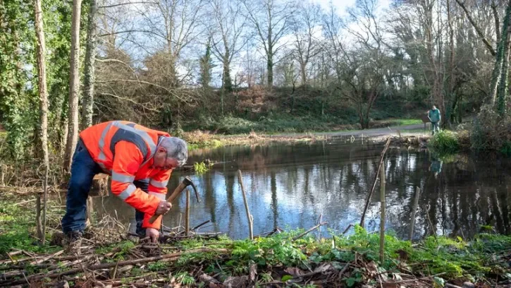 Un jardinier entretient les berges d'une mare à Nantes.
