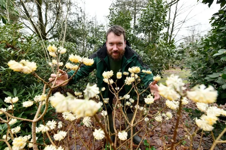 Un jardinier au milieu des plantes du Cimetière-Parc de Nantes.
