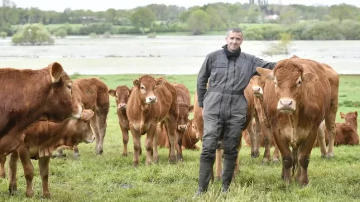 Un éleveur dans un champ au milieu de ses vaches.