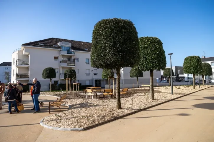 Un groupe de personnes discutent sur une allée bordée d'arbres, à proximité de table de pique-nique.