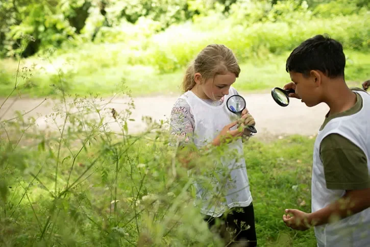 Des enfants observent une feuille à la loupe. 