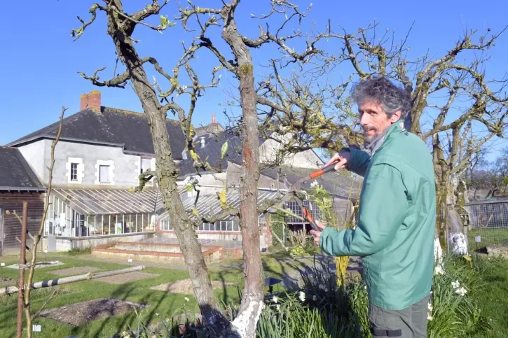 Un jardinier taille les fruitiers dans le potager de la ferme d'éveil de la Chantrerie, à Nantes.