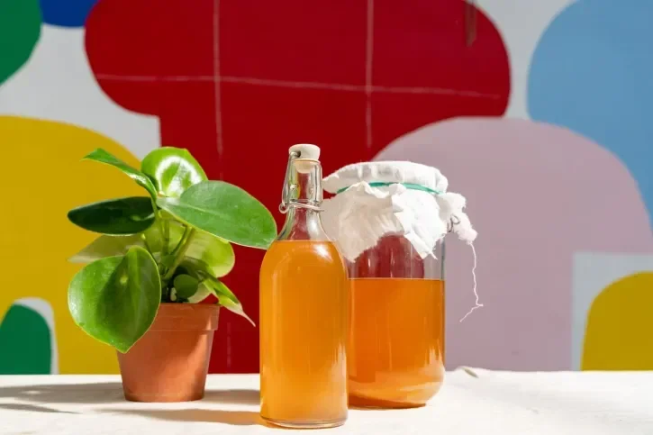 Une bouteille de Kombucha.
