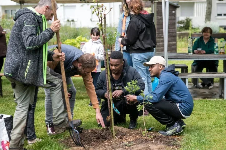 Quatre voisins réunis aurtour d'un arbre qu'ils viennent de planter à l'occasion du Printemps des Voisins.