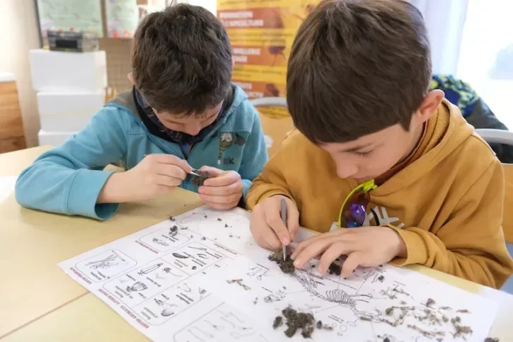Deux enfants étudient une pelote de réjection lors d'un atelier à la longère de la Bégraisière