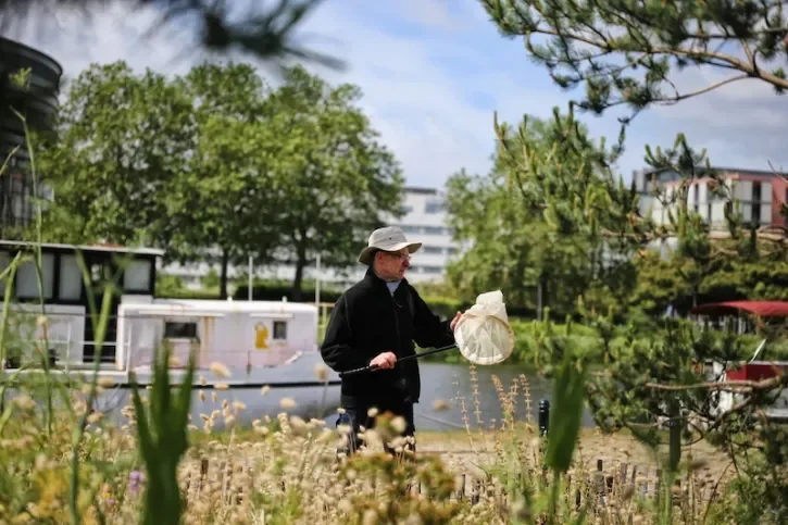 Réalisation d'un inventaire des abeilles sauvages sur la Quai des pins
