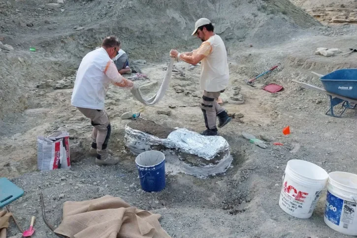 Des personnes manipulent du plâtre pour protéger un os.
