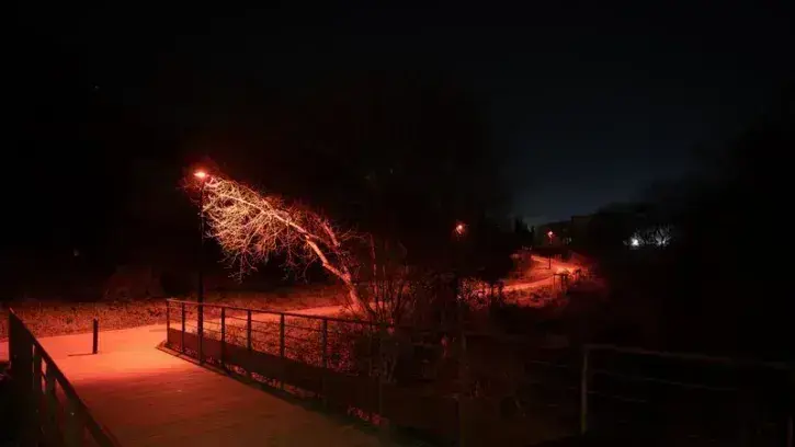 Expérimentation d'éclairage moins impactant pour les chauve-souris, près du ruisseau de la Sourde dans le quartier du Port-Boyer, à Nantes. © Ludovic Failler