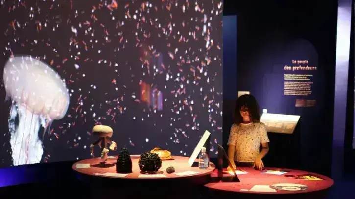 Une fois par mois à 19h, le Muséum propose des conférences autour des sciences et de l'océan, en écho avec l'exposition temporaire Océan © Romain Boulanger.