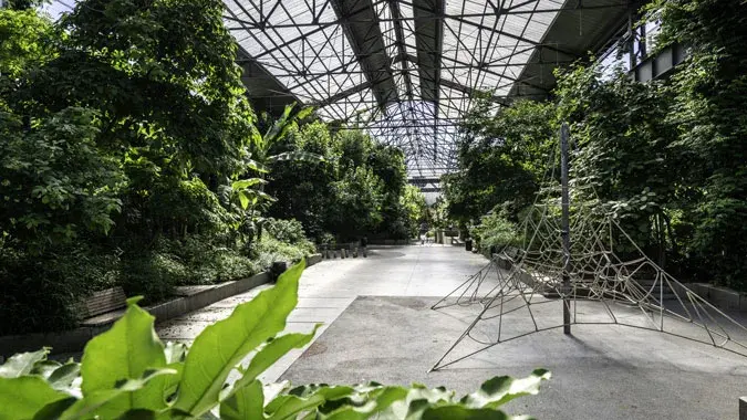 Immense et magnifique jardin en ville, le jardin des Fonderies rassemble dans près de 3 500 m² des végétaux exotiques, dans une halle issue de l’histoire industrielle nantaise. Ancienne fonderie, ce site fait l’objet d’une restructuration d’ensemble en 20