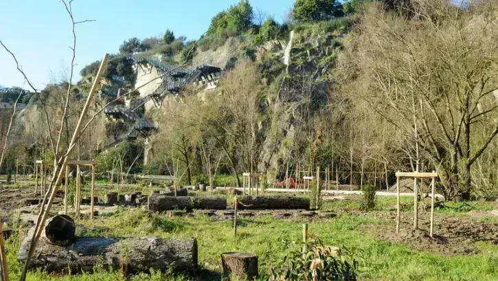 Les premières plantations d'arbres et de vivaces ont débuté. Cette nouvelle portion du jardin sera à l'arrivée très boisée avec 430 arbres au total, dont 280 nouveaux. © Simon Aubron-Cherel
