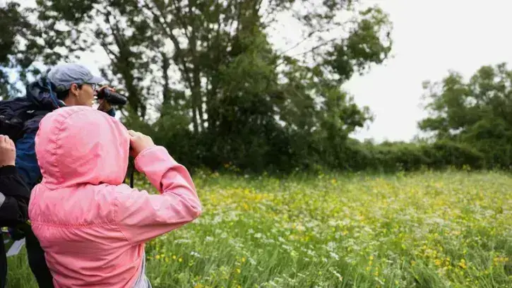 Au cœur du marais estuarien, entre averses drues et timides éclaircies, les écoliers ont observé aux jumelles un gigantesque nid de cigogne, perché sur un mât à plusieurs mètres de hauteur.© Garance Wester