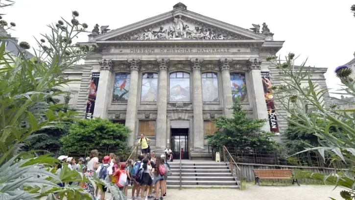 7 questions sur la restructuration du Muséum d’histoire naturelle