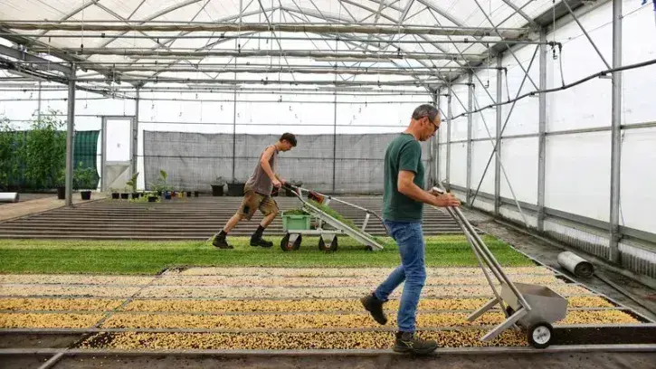 Gérald Cartaud a imaginé et fabriqué deux machines manuelles, l'une pour planter, l'une pour récolter afin de proposer des plus gros volumes comme ceux demandés par la restauration scolaire. © Romain Boulanger 