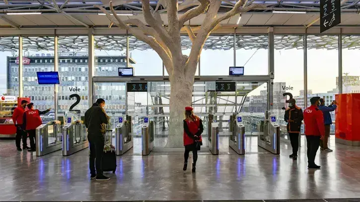 18 arbres en béton blanc soutiennent la charpente de la mezzanine. Un parti pris organique qui fait le lien avec le parvis nord végétalisé.
